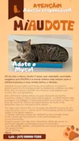 Myco