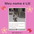 Lili