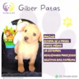 Gilber Patas
