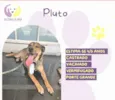 Pluto