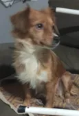 Mel