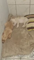 Mel e Max