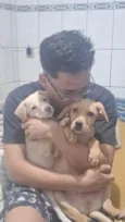 Mel e Max