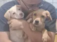 Mel e Max
