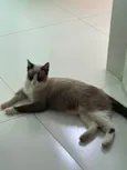 Não tem nome