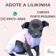 Lilikinha