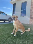 Lupita