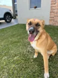 Lupita