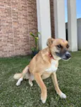 Lupita