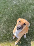 Lupita