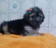 LINDINHA