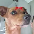 Tina