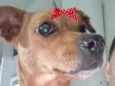 Tina