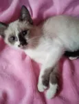 LILI