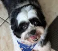 Duke
