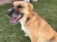 Lupita