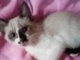 LILI