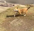 ??
