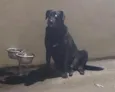 Zeus e Ares