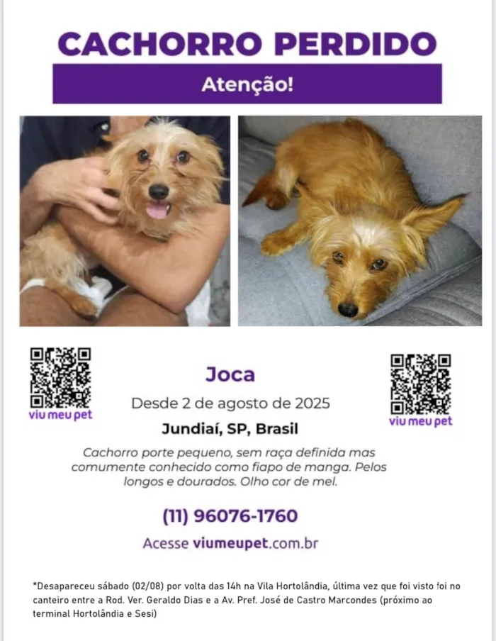 Cachorro ra a SRD-ViraLata idade 4 anos nome Joca