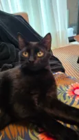 Esmeralda 