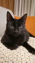 Esmeralda 