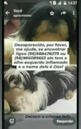 Davi 