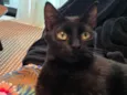 Esmeralda 