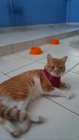 Horus