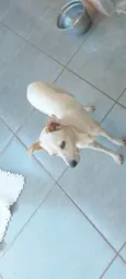Mel