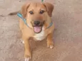 Dudu