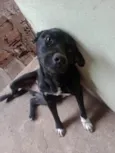 Bob