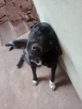 Bob