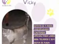 Vicky