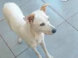Mel