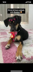 Fiona