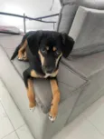 Fiona