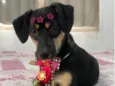 Fiona