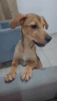 Não tem