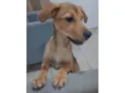 Não tem