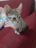 Princesa