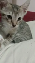 Princesa