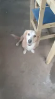 Nina
