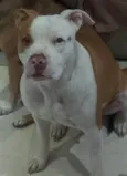 Maggie