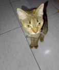 Lili