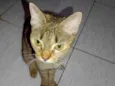 Lili