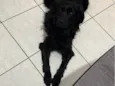 Pietra