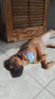 LUNA