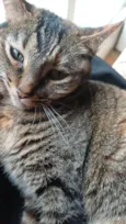 LUA 