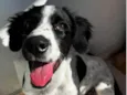 Duke